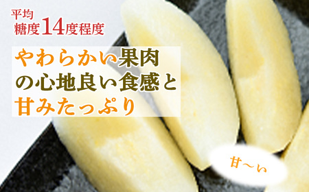 【倉吉産】秋甘泉 5kg  梨 果物 フルーツ 梨 秋甘泉