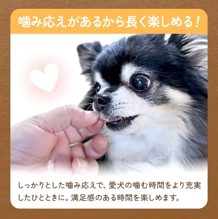 ペットのデンタルケア えぞ鹿の角 Mサイズ 株式会社K《30日以内に出荷予定(土日祝除く)》