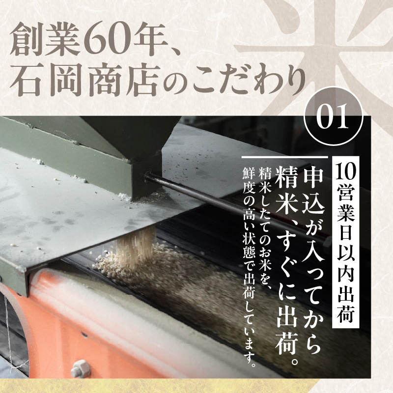 【ANA限定】【10営業日以内発送】北海道産 ななつぼし 5kg 精米 お米 令和7年産 即納_Y138-0030-ana