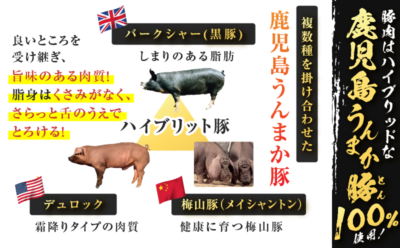 鹿児島うんまか豚生餃子9パック（餃子108個入り・タレ付）　K005-003_02