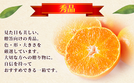 ＜秀品 甘平 (L～3Lサイズ) 約5kg＞蜜柑 ミカン みかん 果物 フルーツ 柑橘 かんぺい 果汁 ジューシー 果肉 国産 愛媛県産 西予市産 ギフト 贈答用 高級柑橘 特産品 丸二青果 愛媛県 