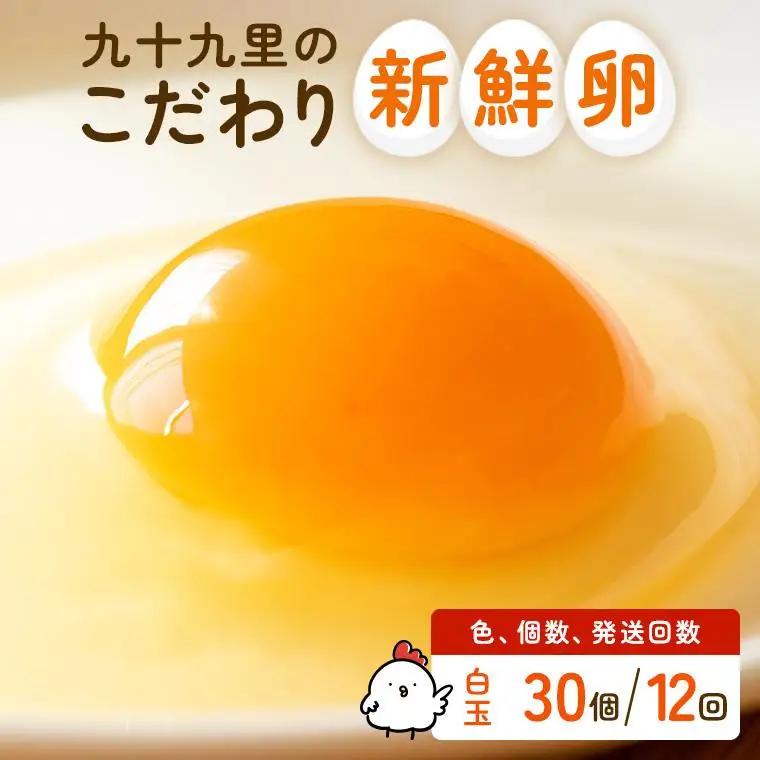 【定期便12回】九十九里ファームこだわりたまご贈答用 30個 ～あおい海・みどりの里～《白玉》 たまご 卵 玉子 タマゴ 白玉 卵かけご飯 新鮮 旨み 甘み 贈答用 贈答 ギフト 贈り物 千葉県 匝瑳市
