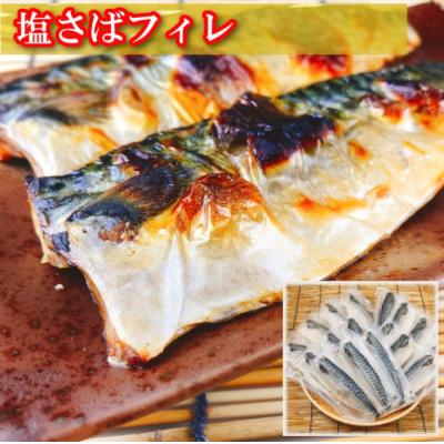 ふるさと納税 根室市 サーモン4〜8P&塩さばフィレ1枚×20P C-09043 |  | 01