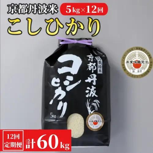 【12回定期便】コシヒカリ 5kg 定期便 精米 白米