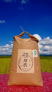 令和6年度産 體力米（たいりょくまい）コシヒカリ白米10kg