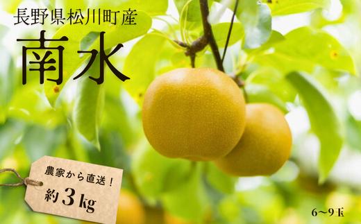 KW07 梨 南水 贈答 約3kg（6～9玉） 長野県松川町産／9月下旬頃～順次発送予定//南信州産 長野県 和梨 なし ナシ 約3㎏ 南水 農家直送 農家支援