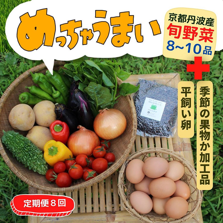 【定期便】京都丹波産【栽培期間中農薬・化学肥料不使用】野菜セット【デラックス】