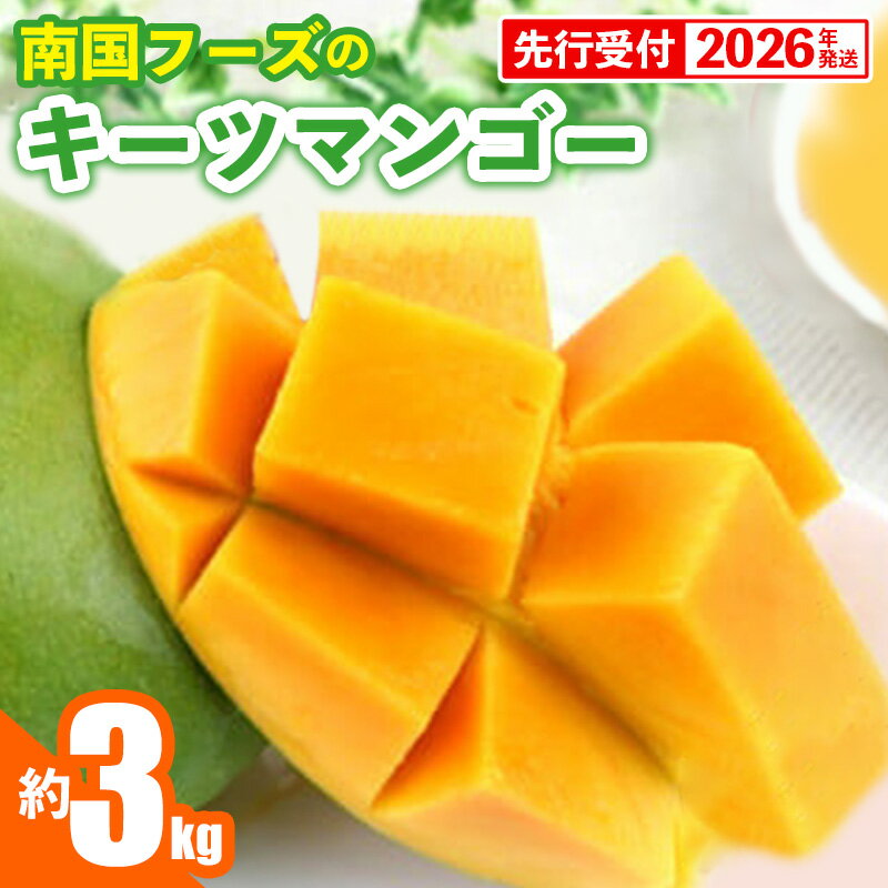 【ふるさと納税】【先行受付】【2026年発送】南国フーズのキーツマンゴー 約3kg - 先行予約 沖縄 産地直送 南国フルーツ 旬の味覚 沖縄県産 国産マンゴー 希少種 オススメ 沖縄県 八重瀬町