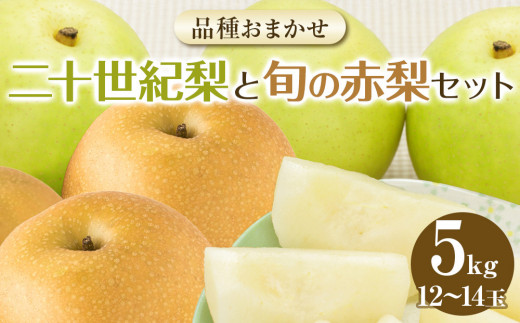 
                  282.【先行予約】二十世紀梨と旬の赤梨セット 5ｋｇ ※2026年8月下旬～9月下旬頃に順次発送予定【先行予約 梨 なし 果物 フルーツ くだもの 鳥取県 北栄町 おすすめ 人気 送料無料】
                