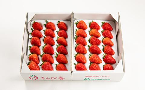 【抜群の美味しさの静岡限定品種:きらぴ香 いちご、大粒、粒揃い18粒×2パック】【配送不可地域：離島・北海道・沖縄県・東北・中国・四国・九州】