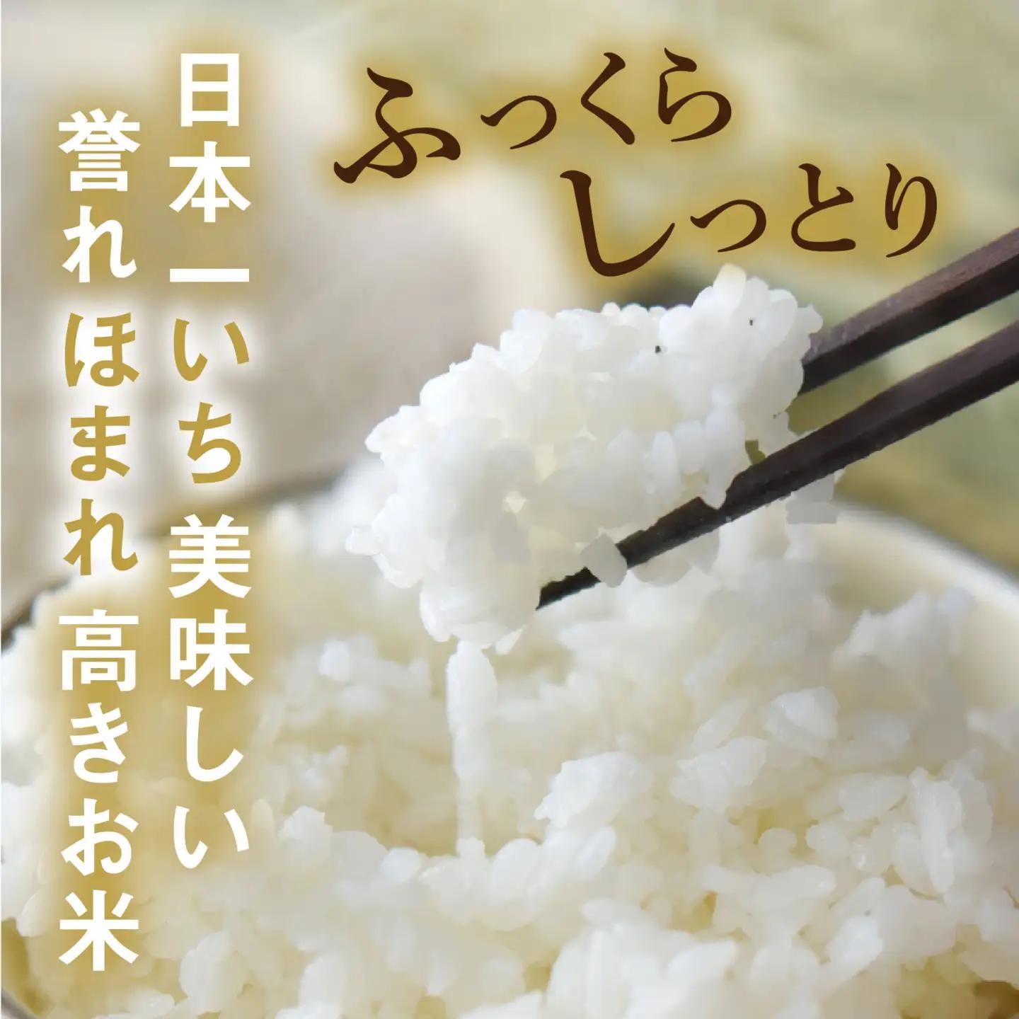令和7年産 いちほまれ 無洗米 5kg(5kg×4袋) ブランド米 白米 [F-014011]