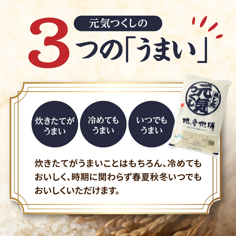 九州・福岡からお届け！ブランド米「元気つくし」 10kg(5㎏×2) お米 米 コメ 白米 特A 直送 お弁当 おにぎり 炊きたて ツヤ 粘り もちもち 弾力 卵かけご飯 福岡県 八女市