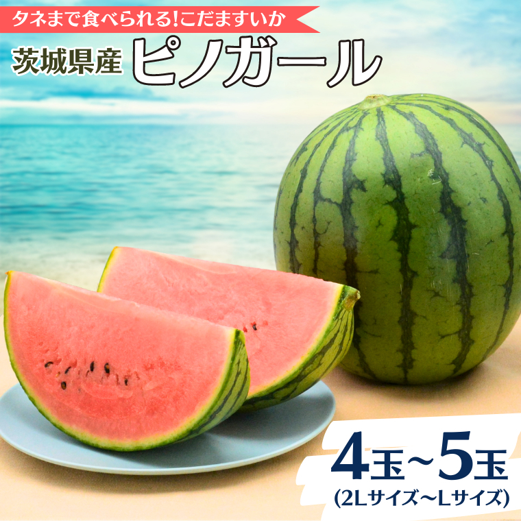 【2025年5月中旬から発送開始】こだますいか ピノガール 4～5玉 すいか 小玉すいか 小玉 スイカ 果物 フルーツ[BQ017sa]