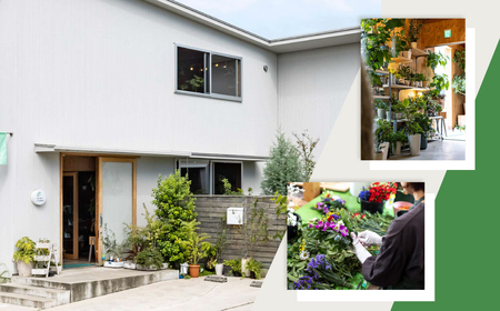 季節のお花  西濃フラワー 定期便 3回 Lサイズ