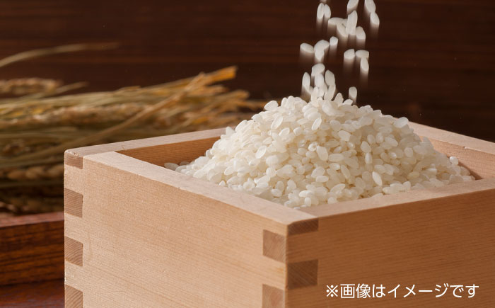 【全12回定期便】令和5年産  通潤橋 水ものがたり 棚田米 4kg (2kg×2袋) お米 白糸台地 熊本産 特別栽培米 定期便 【一般社団法人 山都町観光協会】[YAB017]