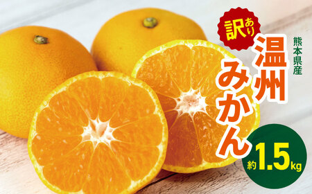 訳あり 熊本県産 温州みかん 約 1.5kg | 果物 くだもの フルーツ 柑橘 柑橘類 みかん ミカン 温州 大小混合 熊本県 玉名市