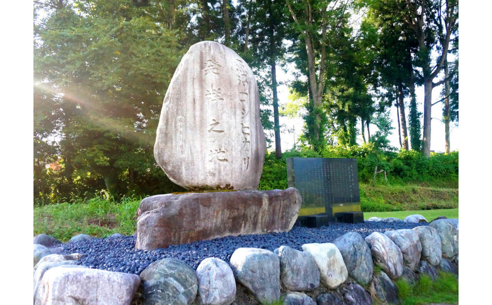 【令和7年産新米】5kg/南魚沼産コシヒカリ　うちやま農園のお米/発祥の地