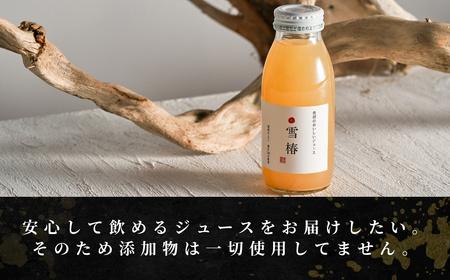魚沼のおいしいりんごジュース 雪椿 20本×1セット |津南町 りんごジュース