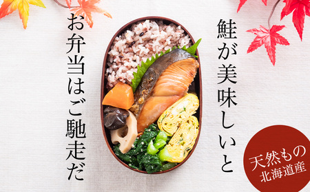 ☆北海道産 塩サケ切り身 3kg さけ 冷凍 塩鮭 塩漬け 切り身 北海道ふるさと納税