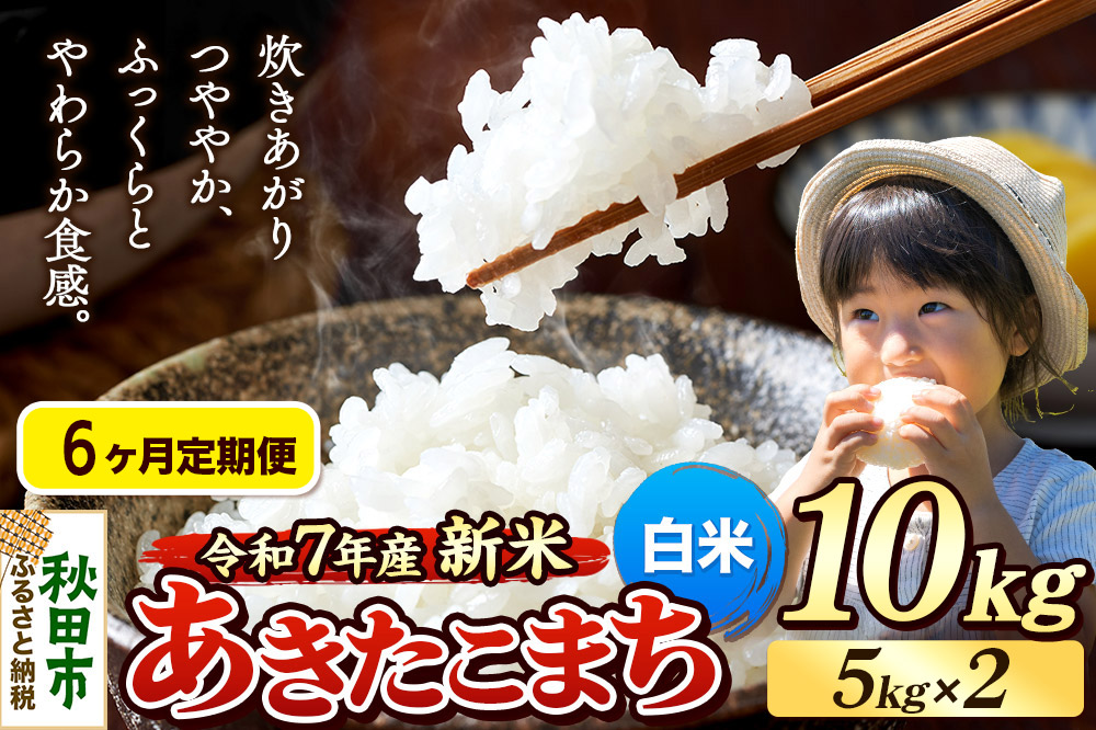 《令和7年産 新米先行受付》《定期便6ヶ月》 米 あきたこまち 10kg（5kg×2袋） 【白米】 秋田県産