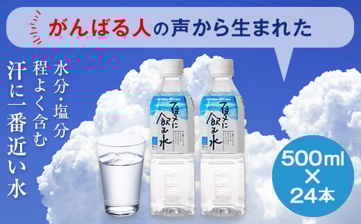AS-8100 夏に飲む水 500ml ペットボトル 24本 こしき海洋深層水