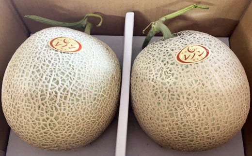 レノン メロン 2玉入り（1玉1.5kg以上） 計3kg以上 赤肉メロン フルーツ 果物 赤肉【2026年4月下旬～5月下旬迄順次発送予定】