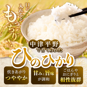 【定期便3回】R8年産大分県産米 ヒノヒカリ白米 10kg ( 5kg × 2袋 ) | お米 精米 単一米 大分県 中津市