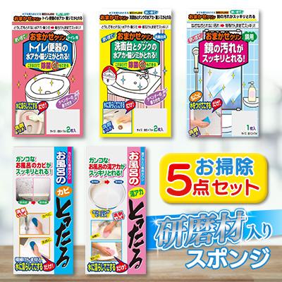 ふるさと納税 桶川市 お掃除5点セット 研磨材入りスポンジ