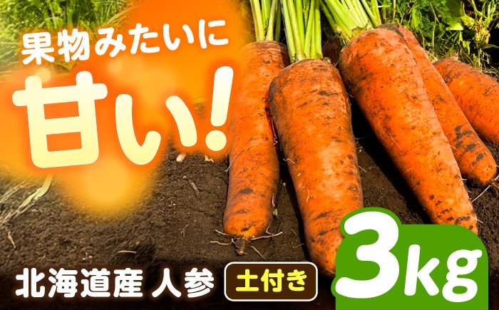 
                  【先行予約】北海道 にんじん 3kg（土付き）【11月上旬以降発送】《足寄町》【餌取ファーム】 北海道産 甘い 人参 野菜 根菜 ニンジン 3kg 道産 キャロット 糖度高め サラダ ジュース 生鮮野菜 北海道産 あしょろ 足寄 [BEBA002]
                