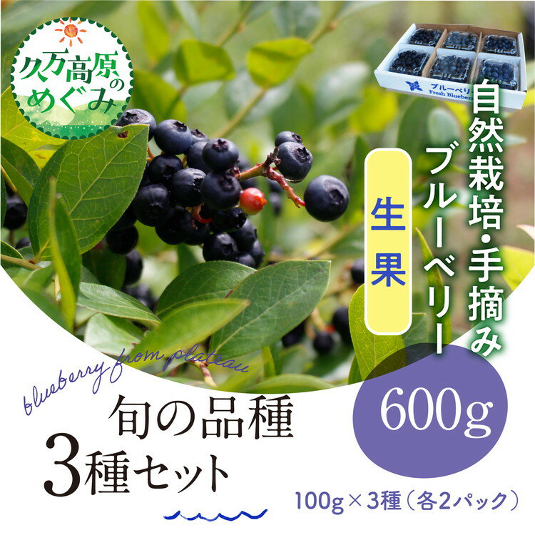 【ふるさと納税】【先行予約】農園直送 手摘み 生果 品種おまかせ ブルーベリー 100g×3種×2パック 計6パック 食べ比べ ※北海道・沖縄・離島への配送不可 ※2025年7月上旬～8月下旬頃に順次発送予定