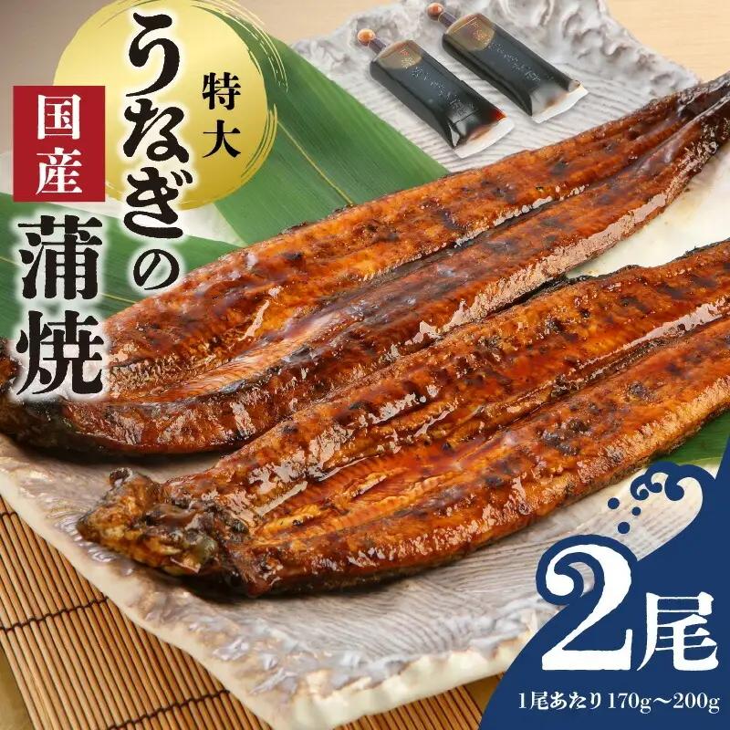 うなぎの蒲焼 2尾セット（特大サイズ 一尾 170g～200g）_うなぎ 蒲焼 2尾 セット 特大サイズ 一尾170g～200g たれ付き 鰻専門問屋 樋口商店 鹿児島 宮崎 国産 ジャポニカ種 真空パック ギフト お取り寄せ グルメ うな丼 うな重 ひつまぶし お土産 手土産 贈り物 プレゼント お中元 職人 送料無料 〔Cu001〕