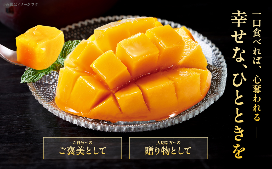 完熟マンゴー『太陽のタマゴ』２玉（約１kg）【JA綾町】_A0114-1001