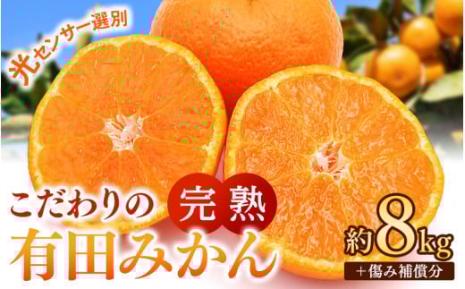 早期先行予約！  こだわりの有田みかん 約8kg＋250g(傷み補償分) 【ご家庭用】【11月発送】 光センサー選別品 農家直送品 ※北海道・沖縄・離島配送不可 / みかん 有田みかん 温州みかん 柑橘 果物 くだもの フルーツ 有田 和歌山 和歌山県産 産地直送 【nuk100-11】 