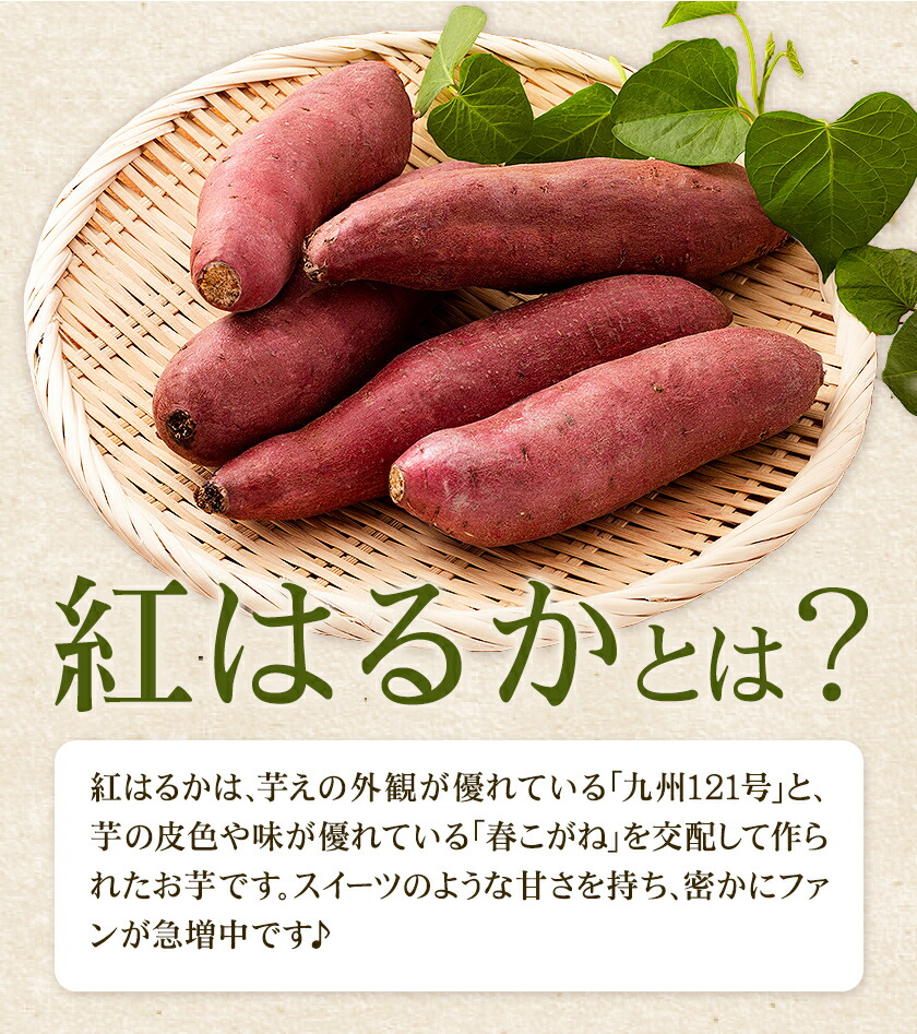 訳あり 紅はるか 約5kg 2S～3L混合 株式会社Foody’s 《90日以内に発送予定（土日祝を除く）》熊本県 菊池市 訳あり さつまいも 芋 紅蜜芋 焼き芋 野菜 菊池市産 熊本県産 九州産--