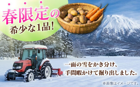 【先行予約】 雪の下にんじんと越冬じゃがいもセット 計15kg [BPAM035] 野菜セット