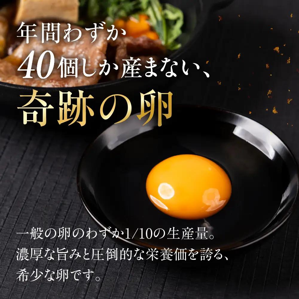 【12ヶ月定期便】烏骨鶏たまご モールド 40個｜たまご