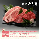 【ふるさと納税】特選山形牛 ステーキ 食べ比べ セット 800g サーロイン モモ 各200g×2 牛肉 黒毛和牛