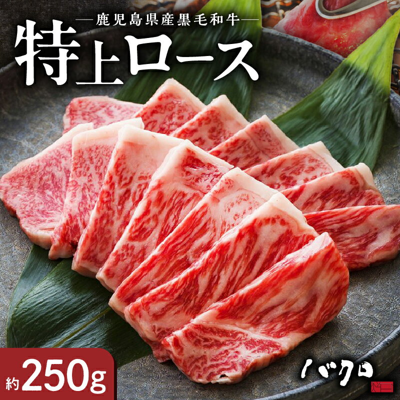 【ふるさと納税】 特上ロース 焼肉 250g 牛肉 ロース 国産 黒毛和牛 脂の旨み 甘み オレイン酸 鉄板焼き お料理 ごはんのおかず 食品 国産牛 国産牛肉 国産和牛 お取り寄せ お取り寄せグルメ 冷凍 鹿児島県 奄美市 送料無料