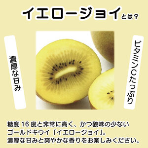 ゴールドキウイ 2.1kg イエロージョイ 2026年11月上旬～ キウイ