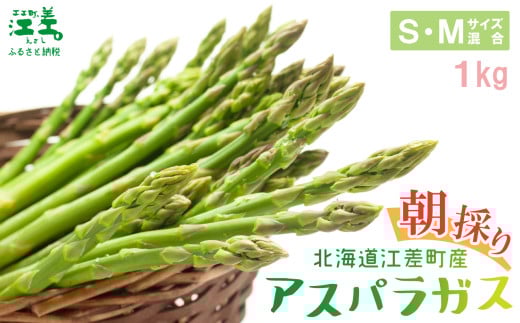 【夏芽 予約受付 6月中旬～順次出荷】2025年 北海道江差町産 アスパラガス【S～Mサイズ】 1kg　40～50本　朝採り　農家直送　新鮮　鮮度保持　北海道　旬野菜　グリーンアスパラ　アスパラ　ギフト　贈答