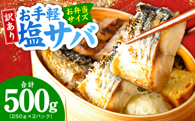 【お弁当サイズ】塩さば 500g（250g×2P）【生活応援 サバ 小分け 青魚 塩鯖 塩サバ 切身 塩焼き 焼きさば 焼き鯖 人気 冷凍 冷凍食品 おかず 惣菜 訳あり サイズ不揃い 大阪 泉佐野 大阪府 泉佐野市】