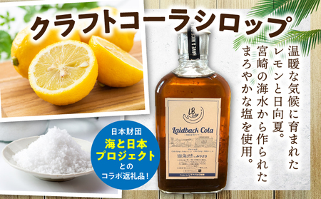 レイドバックコーラ 宮崎県産塩とレモン クラフトコーラ コーラ コーラシロップ 炭酸割り お湯割り ミルク割り 塩 レモン 日向夏 スパイス 
