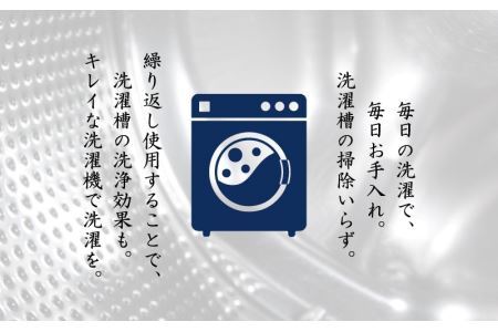 悪臭対策洗剤 悪臭-akushu- 一刀両断 2kg×4本 [C-019005]