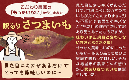 茨城県産 さつまいも こだわり農家の訳ありさつまいも 茨城県結城市産 サイズ不選別 品種おまかせ 約10kg 《1月上旬-3月上旬頃出荷》茨城県 結城市 ご家庭用 お芋 訳あり 紅はるか シルクスイー