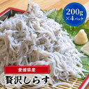 たっぷり愛媛県産贅沢しらす 200g×4