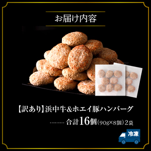 ハンバーグ 16個 ハンバーグ 浜中牛 ホエイ豚_H0019-100　