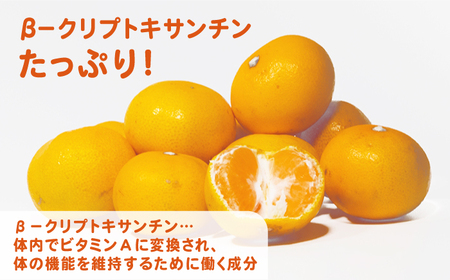 ＜全3回定期便＞ 【佐賀県産温州みかん使用】さがみかん100　総計18本（1L×6本）【JAさが 杵島支所】果汁100% 濃縮還元[HAM040]