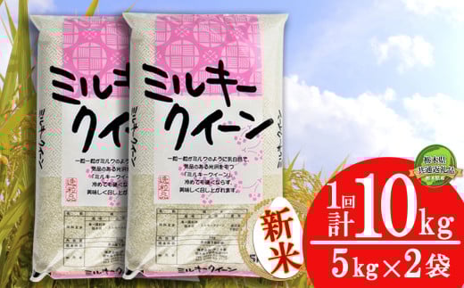 【栃木県共通返礼品】【先行予約】【10月発送】ミルキークイーン 10kg（5kg×2袋） | 米 こめ コメ kome 白米 精米 お米 みるきー みるきーくいーん ﾐﾙｷｰｸｲｰﾝ Milky queen ミルキークウィーン  モチモチ ふっくら もち米風 炊き込み 新米 栃木米 令和7年度米 令和7年度 2025年度米 ブランド米 栃木県 特産品 送料無料 栃木県 下野市 しもつけ市