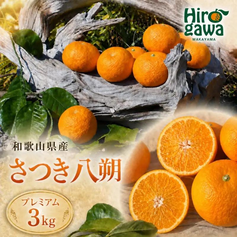 さつき 八朔 プレミアム 3kg ※2027年3月上旬～2027年3月下旬に順次発送 // さつき 八朔 柑橘 和歌山 有田 家庭用 プレミアム 厳選 訳あり わけあり 傷あり 紀州 国産 【gsa022-p-3A】
