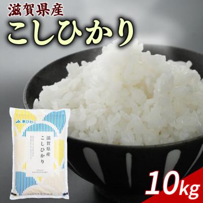 ふるさと納税 彦根市 令和8年産 新米 こしひかり 10kg 【滋賀でとれたお米、近江米!】